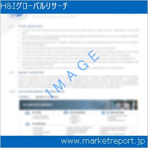 市場と産業調査レポートのイメージ